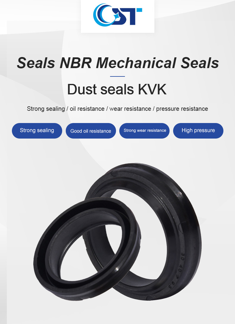 K30 Dust Seal Nbr