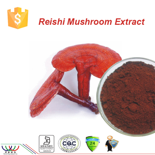 Free sample China reliabel supplier 10% Polysaccharides red reishi extract 10 1