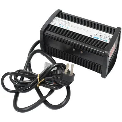 Hot Sale 24V Electric Vehicle Battery Charger