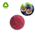 Grape Seeds Polyphenol Skin Care Organic Grape Seeds Extract Powder Polyphenol Manufactory