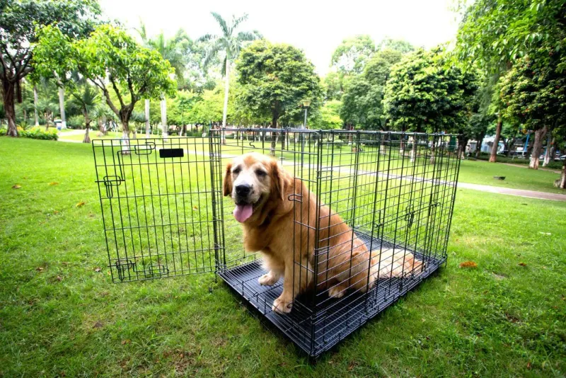 Foldable Iron Pet Carrier Cage for Dogs and Cats