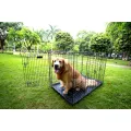 Foldable Iron Pet Carrier Cage for Dogs and Cats