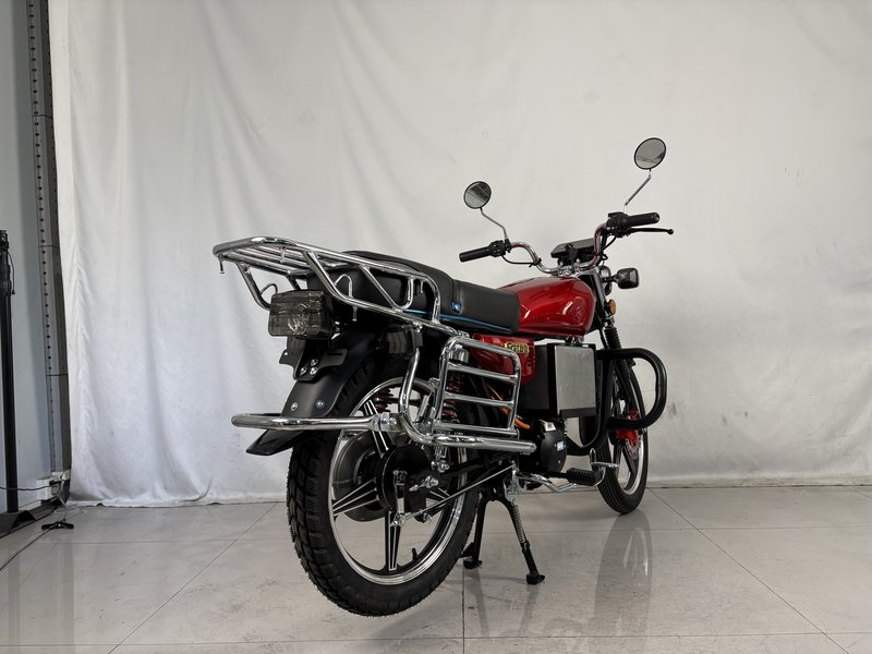 CG hub-motor electric motorcycle_1 (9)