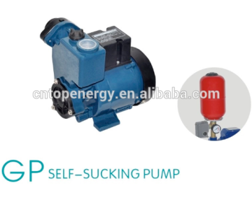 Agriculture irrigation single phase water pump factory price GP125 GP129 GP250 ( Also have QB60 Centifugal CPM200 DB125 PS126 )