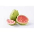 Guava Leaf Extract powder 10:1 organic
