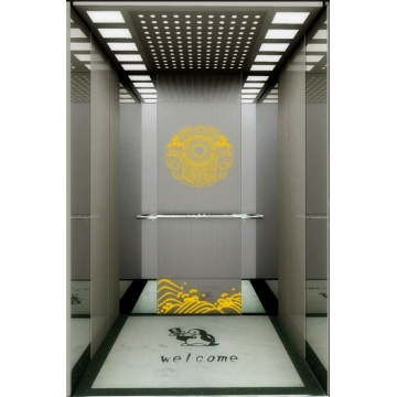 Concise Decorated Passenger Elevator for Office Building