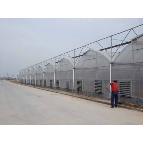 Natural Ventilation Single Span Greenhouse