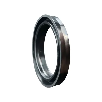 LBH Dust Seal FKM Hydraulic Cylinder Seals