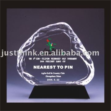 custom acrylic award FZ1117