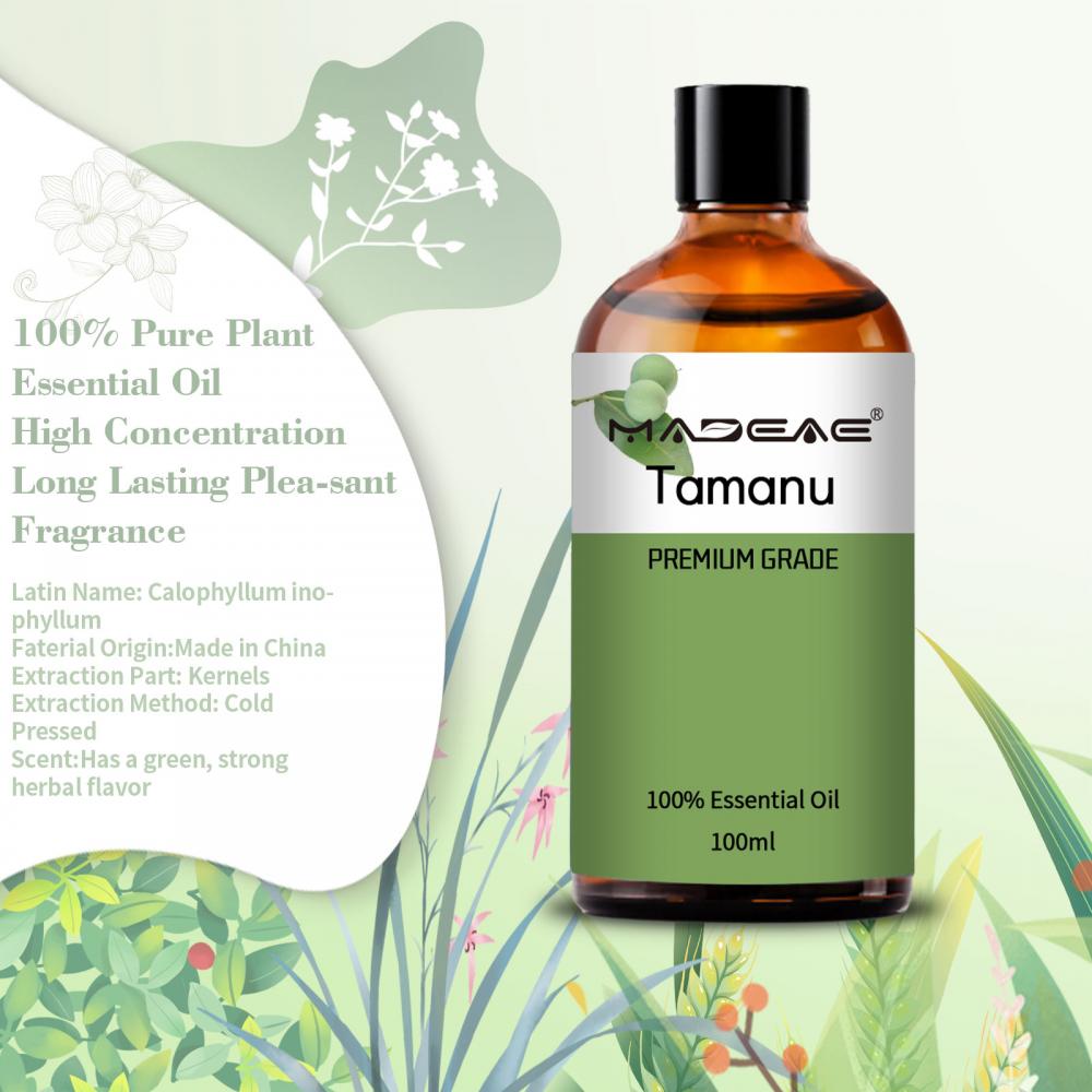 Supply Tamanu Seed Oil With wholesale Price For cosmetic Usage Cold pressed Extraction Method