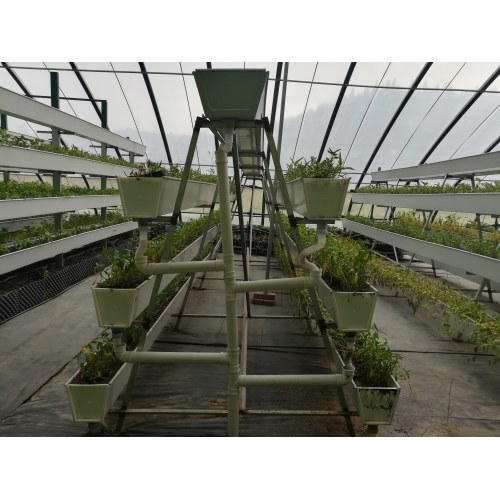 A-Type Stereo Cultivation Rack
