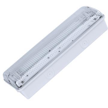 8W Fluorescent Security Lighting