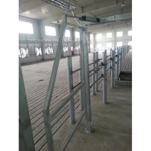 arfimilk quick release milking hall