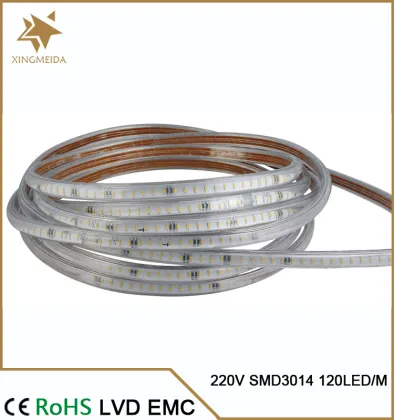 zhongshan case