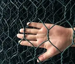 Agricultural Pheasant Mesh Netting Hexagonal Wire Netting