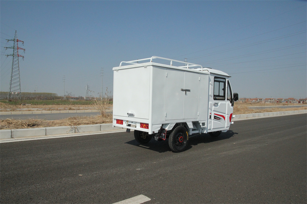 Fashion-looking Electric Tricycle With Door