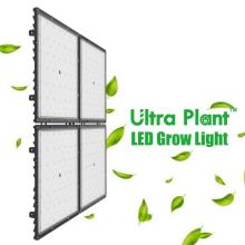 Lámparas de cultivo LED de espectro completo cuadradas de 450 W