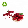 Schisandra Extract Schisandra Fruit Powder