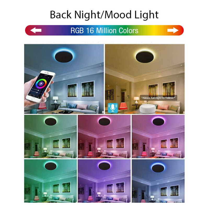 Smart Round Ceiling Lighting