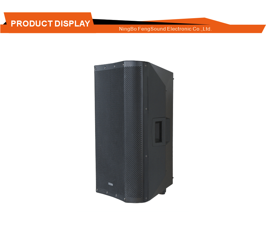 Durable Plastic Stage Speaker