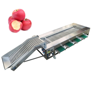 304 Stainless Steel Cherry Tomato Grader Machine