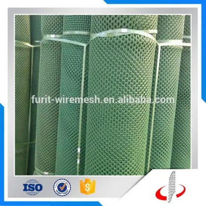 Green Grass Protection Plastic Mesh