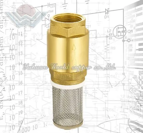 Copper Spring check valve with net