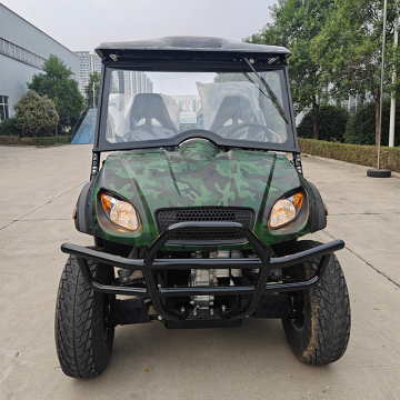 Electric Adult UTV 5kW - Made in China: Leisure and Entertainment 4x4