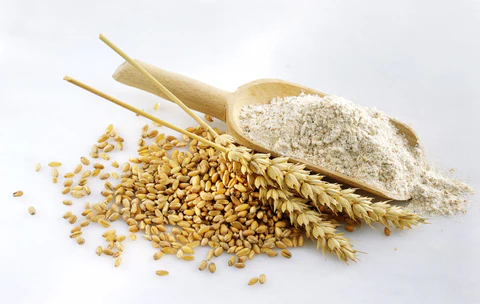 Pure high protein Wheat flour hydrolyzed Wheat protein