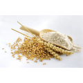Pure high protein Wheat flour hydrolyzed Wheat protein