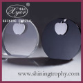 HDA2003 Apple βραβείο Crystal δώρο