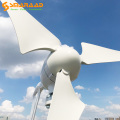 Taşınabilir Rüzgar Enerjisi Jeneratörü 600W 12V 24V Rüzgar Türbini