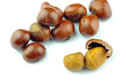 High Quality Roasted Peeled Chestnuts for Snacks
