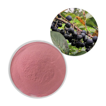 aronia chockberry fruit powder aronia powder
