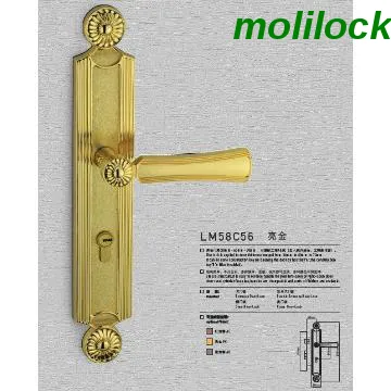 Entrance Door Lock