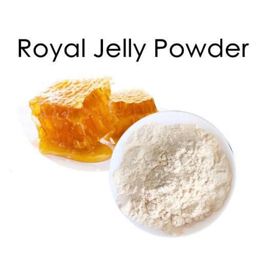 Bulk Lyophilized Royal Jelly Powder