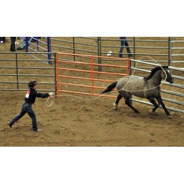 Horse Farm Popular Steel Carral Fence