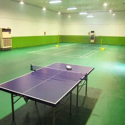 Ping-pang game use ball court flooring