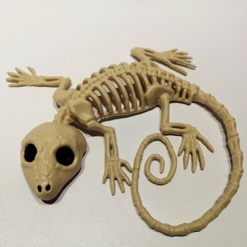 Halloween Themed Creepy Animal Novelties and Props