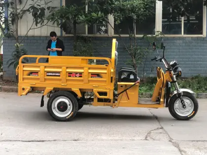 Electric Tuk Tuk Cargo Tricycle for Farming
