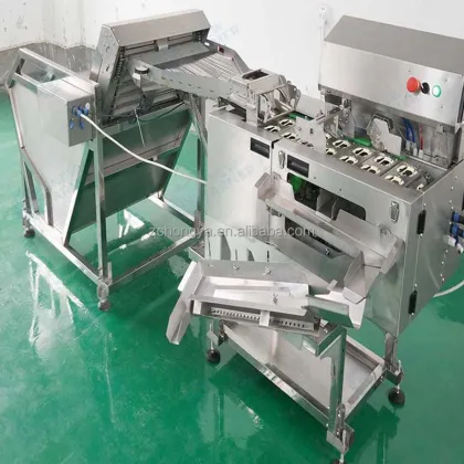 Egg Yolk and Egg Liquid Separating Machine