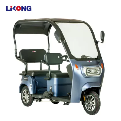 Lilong City Electric Bike E-Bike E Battery