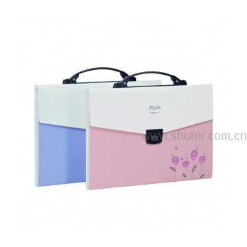 FB203 Flora Expanding File With Handle
