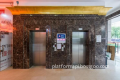 Commercial and Residential 450kg-1600kg Passenger Elevator Solutions