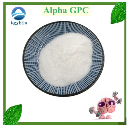 High Purity 99% Alpha GPC for Nootropic Supplement