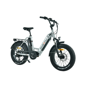 XY-Golf Fettreifen kleines Elektrofahrrad