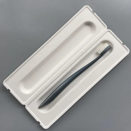 Molding recycled pulp package biodegradable toothbrush box