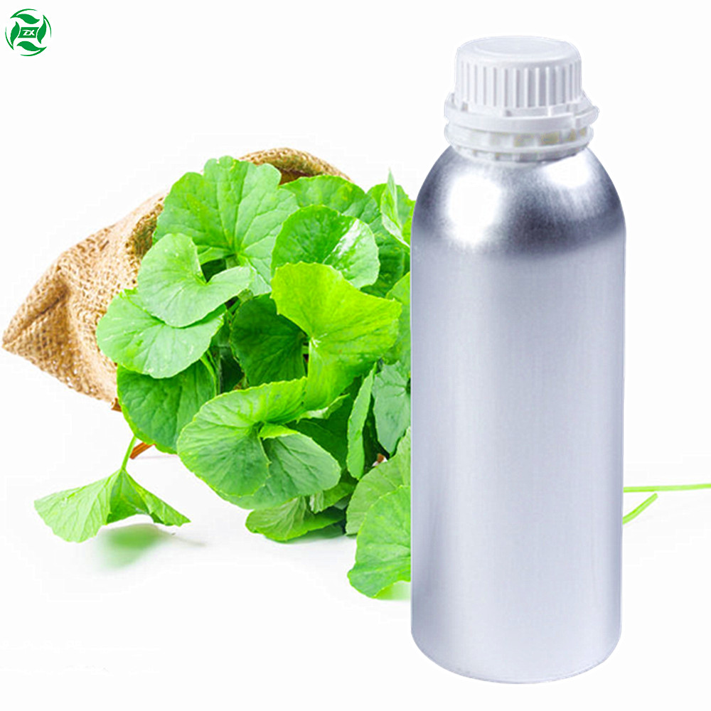 روغن های پوستی پوستی Centella Asiatica را تأمین کنید