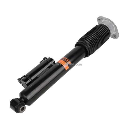 Auto Parts Rear Left or Right Air Shock Absorber for Benz 253