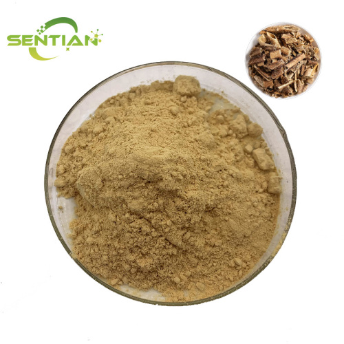 Organic Acanthopanax senticosus Supplement